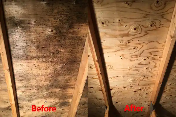 water damage restoration service El Valle de Arroyo Seco